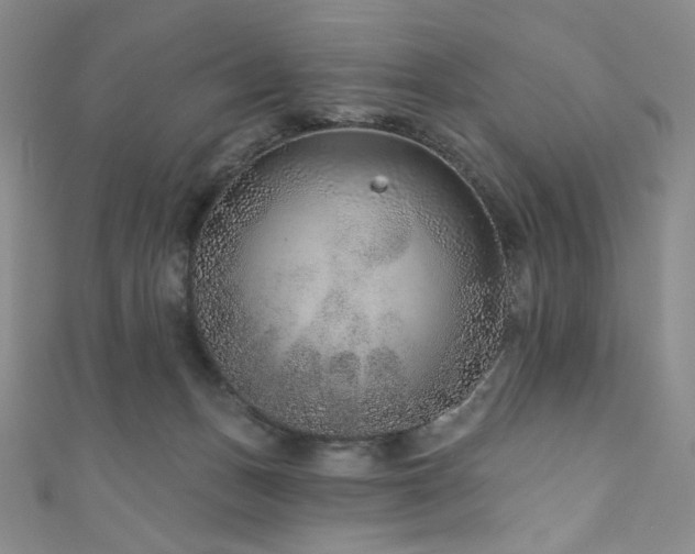 X0000111870175200907231520