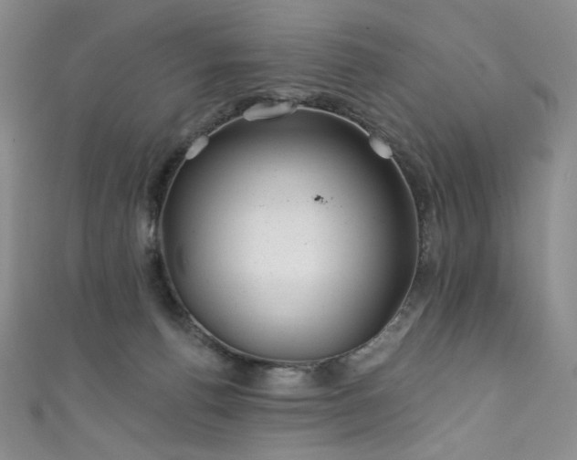 X0000111870176200907231520