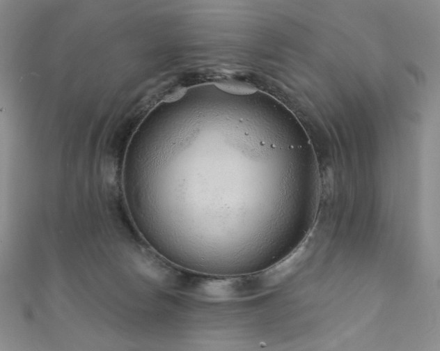 X0000111870178200907231520