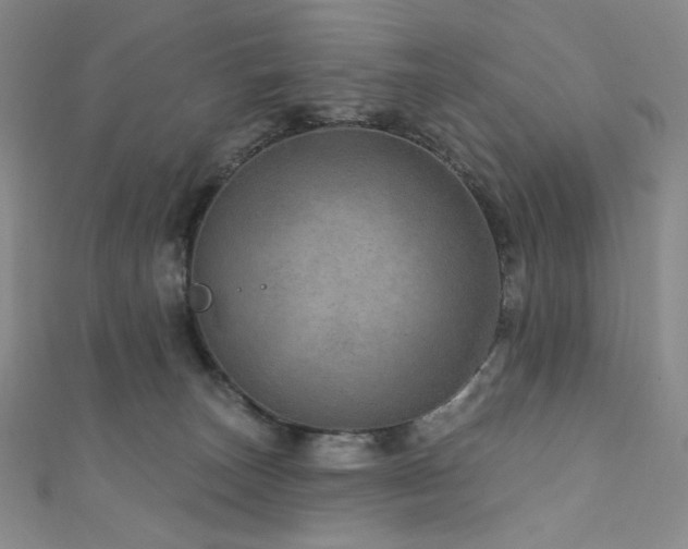 X0000111870179200907231520