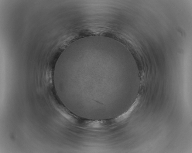 X0000111870182200907231520
