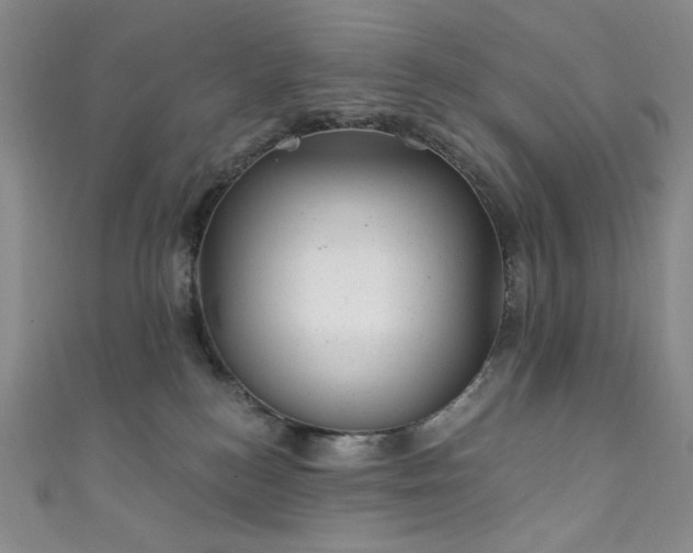 X0000111870184200907231520