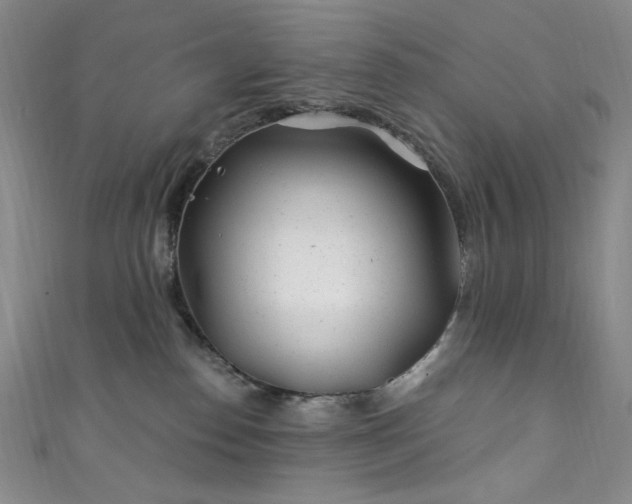X0000111870186200907231520