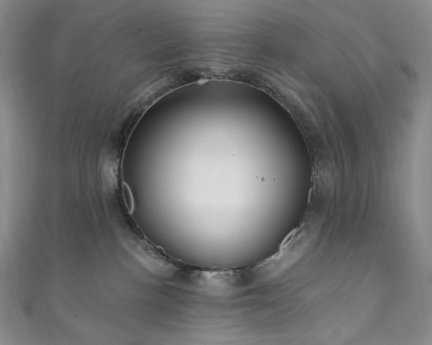 X0000111870188200907231520