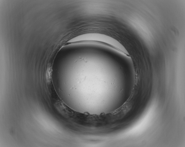 X0000111870190200907231520
