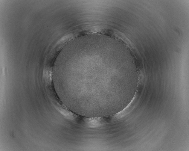 X0000111870191200907231520