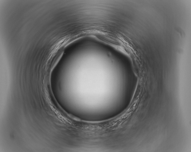 X0000111870193200907231519