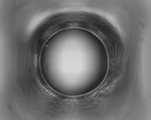 X0000111870194200907231519