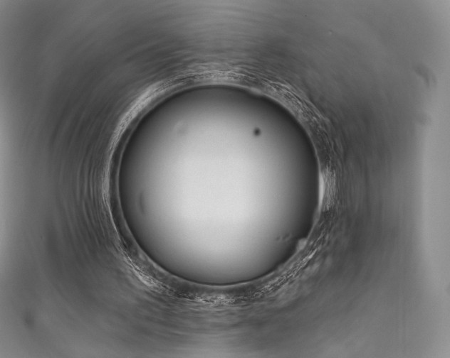 X0000111870195200907231519