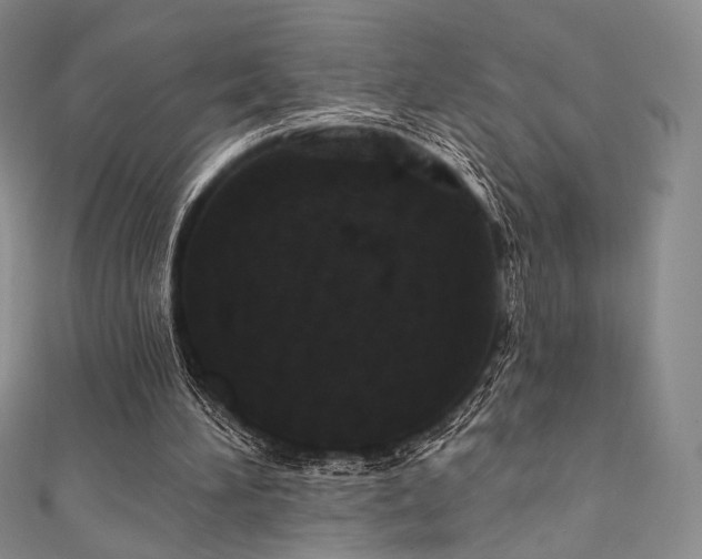 X0000111870196200907231519