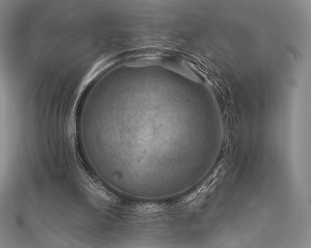 X0000111870198200907231519