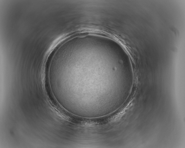 X0000111870199200907231519