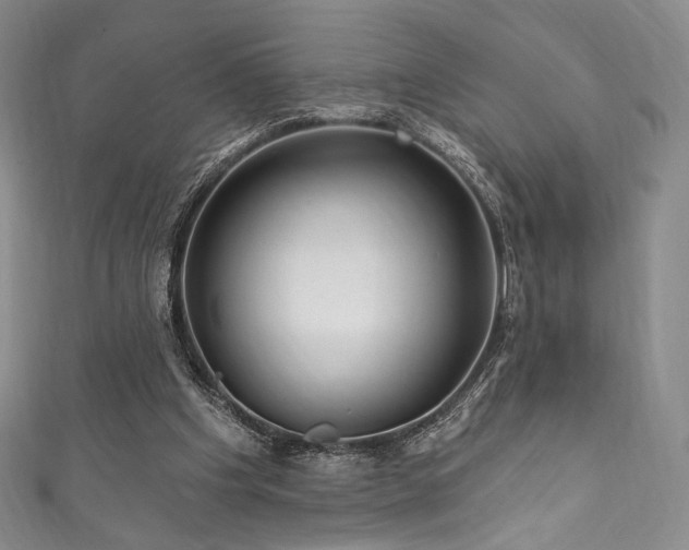 X0000111870201200907231519