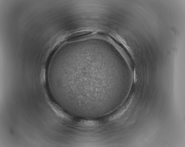 X0000111870205200907231519