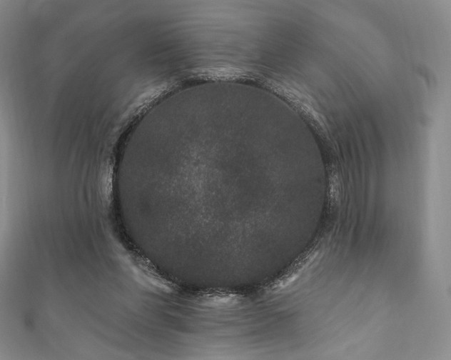 X0000111870206200907231519