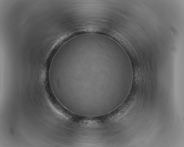 X0000111870208200907231519