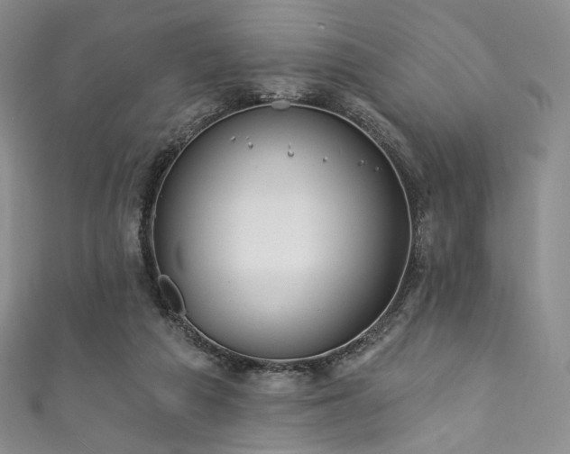 X0000111870209200907231519