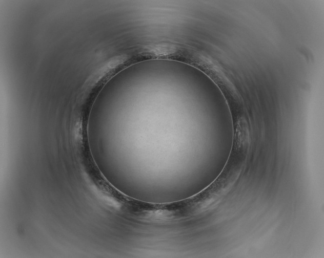 X0000111870212200907231519