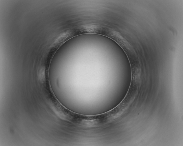 X0000111870213200907231519