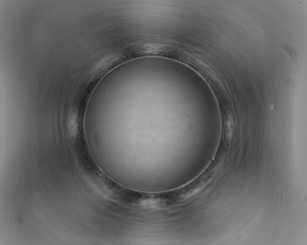 X0000111870216200907231519