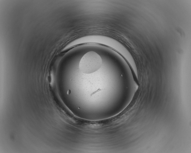 X0000111870217200907231519