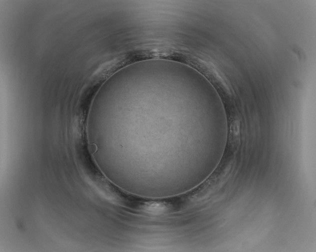 X0000111870218200907231519
