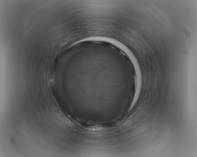 X0000111870219200907231519