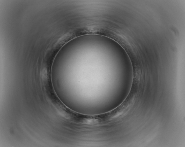 X0000111870220200907231519