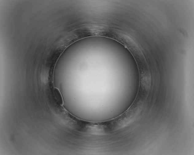 X0000111870221200907231519