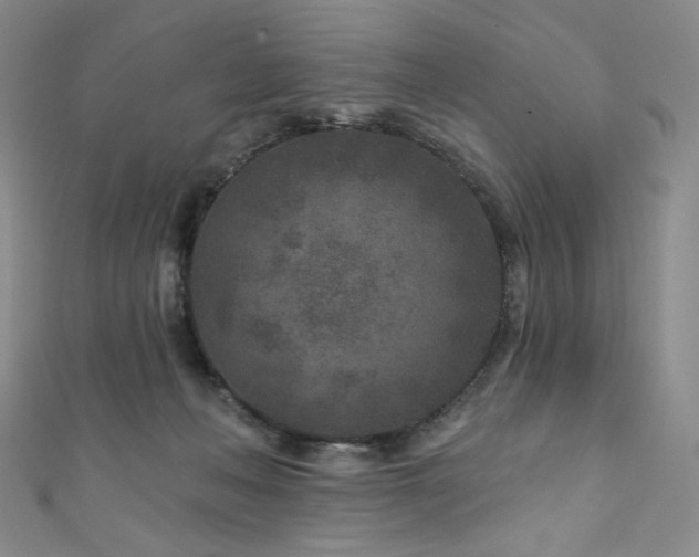 X0000111870222200907231519