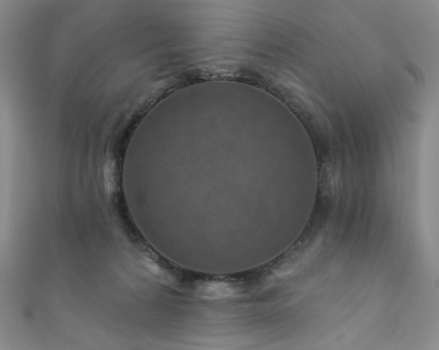 X0000111870224200907231519