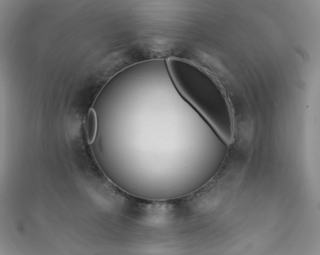 X0000111870225200907231519