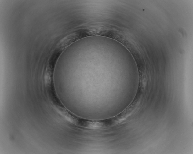 X0000111870226200907231519