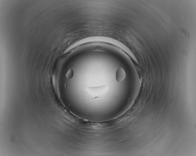 X0000111870229200907231519