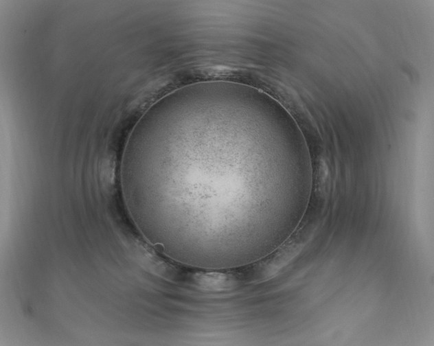 X0000111870230200907231519