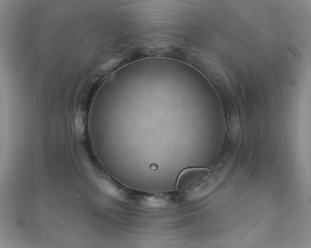 X0000111870232200907231519