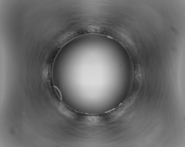 X0000111870233200907231519