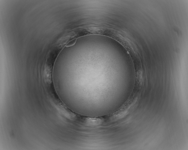 X0000111870234200907231519