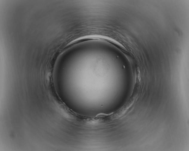 X0000111870235200907231519