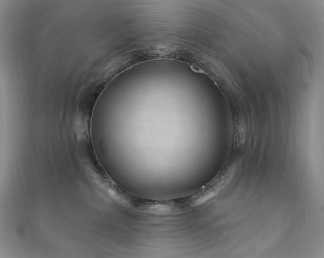 X0000111870236200907231519