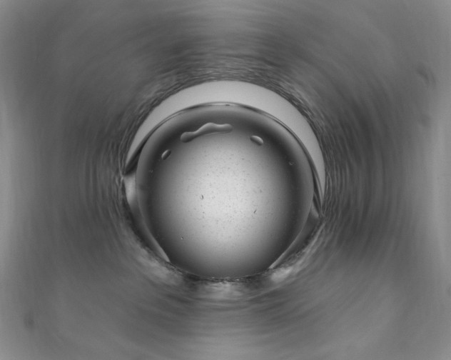 X0000111870237200907231519