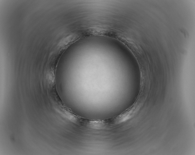 X0000111870240200907231519