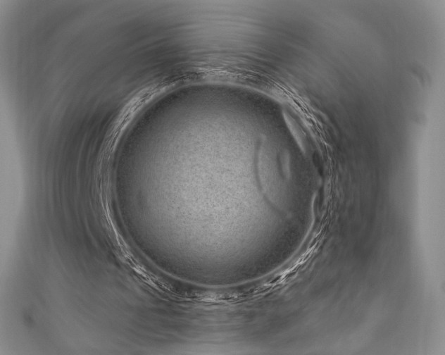 X0000111870241200907231518