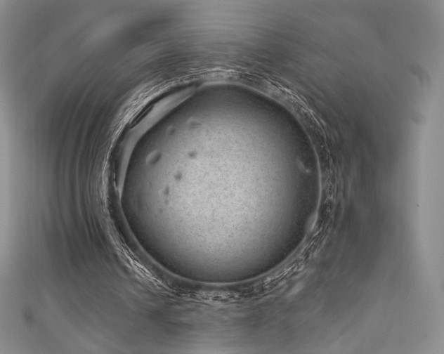 X0000111870242200907231518