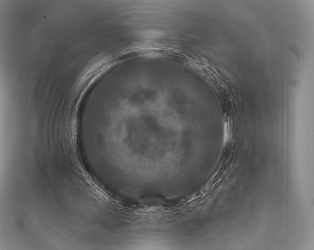 X0000111870243200907231518