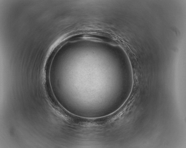 X0000111870246200907231518