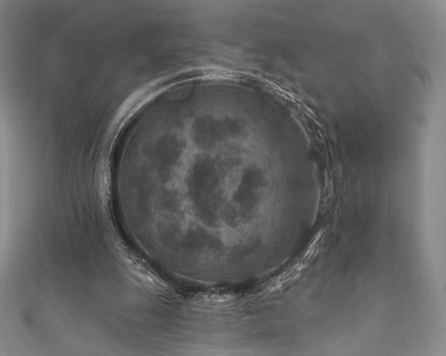 X0000111870247200907231518
