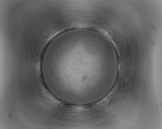 X0000111870249200907231518