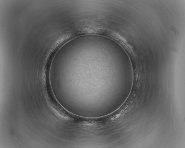 X0000111870250200907231518