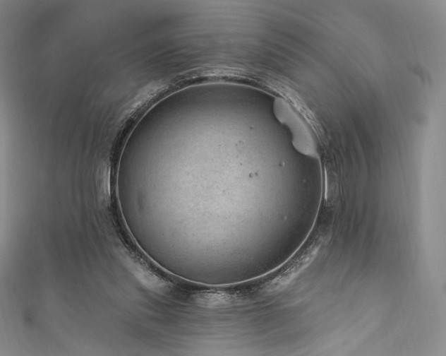 X0000111870253200907231518